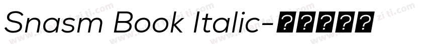 Snasm Book Italic字体转换